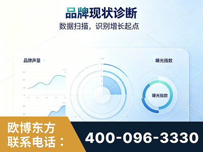 商洛-品牌现状诊断