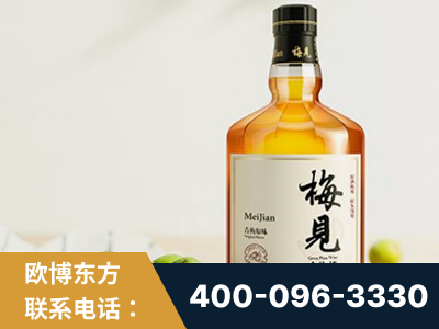 商洛-梅见青梅酒